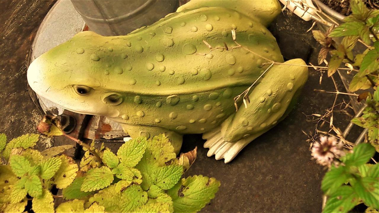 Penzion Pod Orechom Турчянське Тепліце Екстер'єр фото